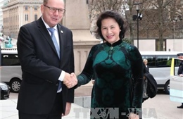 Chủ tịch Quốc hội Nguyễn Thị Kim Ngân hội đàm với Chủ tịch Quốc hội Thụy Điển 