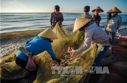 Hành động bảo vệ nguồn lợi thủy sản vùng ven biển Thanh Hóa