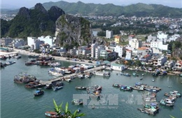 Khẩn trương xây dựng Luật Đơn vị hành chính kinh tế đặc biệt