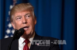 Nghị sĩ Mỹ hối thúc Tổng thống Trump cân nhắc khi hành động tại Syria 