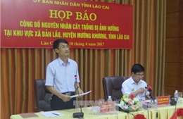 Lào Cai: Gây ô nhiễm môi trường, Công ty Tứ Đỉnh bị phạt 100 triệu đồng 