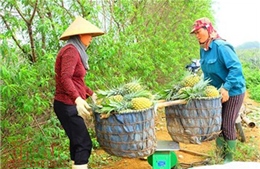Giải quyết chế độ cho lao động tiền trạm kinh tế mới thời kỳ 1976-1980