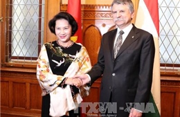Chủ tịch Quốc hội Nguyễn Thị Kim Ngân hội đàm với Chủ tịch Quốc hội Hungary