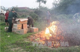 Quảng Ninh: Tiêu hủy 7.200 quả trứng gà nhập lậu