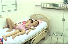 13 trẻ tiểu học nhập viện do ăn hạt quả ngô đồng