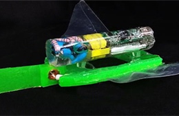 Trung Quốc chế tạo cá robot thân mềm 