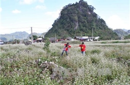 Quy hoạch xây dựng Công viên địa chất toàn cầu Cao nguyên đá Đồng Văn