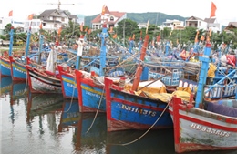 Ngư dân đối mặt rủi ro lớn khi không mua bảo hiểm tàu cá