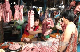 Thủ tướng yêu cầu khẩn trương kiểm tra hệ thống giết mổ, tiêu thụ lợn thịt