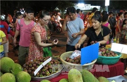 Thức đêm, bỏ bữa: ‘Kẻ thù’ của sĩ tử mùa thi