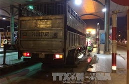 Đồng Nai: Khởi tố vụ xe tải chống hiệu lệnh, cán chết cảnh sát giao thông