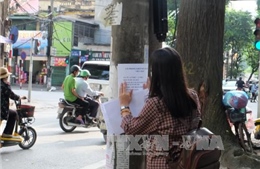 Hà Nội sẽ cắt 463 số điện thoại quảng cáo rao vặt sai quy định 