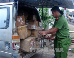 Nam Định bắt xe chở gỗ quý không rõ nguồn gốc 