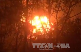 An Giang: Cháy lớn thiêu rụi gần 30 ha rừng tràm