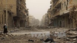 LHQ chưa thể xác định lực lượng nào tấn công hóa học ở Syria