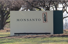 Nghị sĩ châu Âu yêu cầu thành lập một ủy ban điều tra về Monsanto