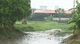 Hà Nam: Khắc phục ô nhiễm nước nghiêm trọng tại kênh A48 