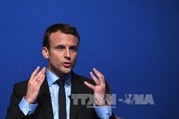 Các cử tri Pháp ở hải ngoại bắt đầu đi bỏ phiếu bầu tổng thống