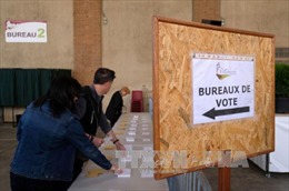 Phát hiện xe khả nghi, một điểm bầu cử Pháp phải sơ tán