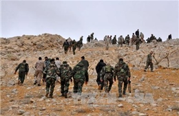 Quân đội Syria sẵn sàng ngừng bắn để điều tra tấn công hóa học