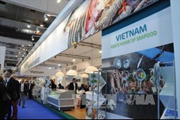 Thủy sản Việt Nam chinh phục thị trường châu Âu