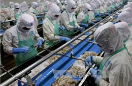 Kim ngạch xuất khẩu nông, lâm, thuỷ sản ước đạt 10,8 tỷ USD