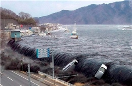 Bộ trưởng Nhật Bản từ chức vì &#39;vạ mồm&#39; về thảm họa sóng thần