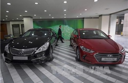 Hyundai giảm 21% lợi nhuận trong quý đầu năm nay 
