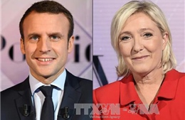 Cú &#39;đánh úp&#39; hiệu quả của ứng cử viên tổng thống Pháp Le Pen