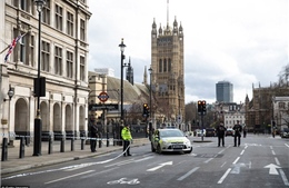 Bắt đối tượng nghi âm mưu tấn công khủng bố gần tòa nhà Quốc hội Anh