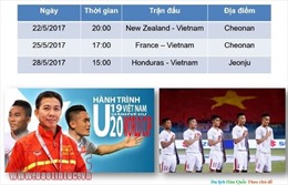 Khoảng 500 khách theo tour cổ vũ U20 Việt Nam tại Hàn Quốc