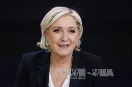 Đảng của ứng viên Tổng thống Pháp Le Pen thay đổi lãnh đạo lâm thời lần hai
