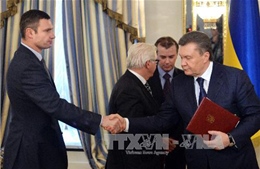Ukraine tịch thu tài sản của chính quyền cựu Tổng thống Yanukovych