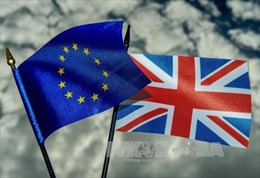 27 nước EU xác định nguyên tắc đàm phán với Anh về Brexit