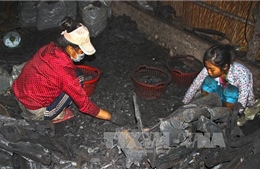 Cà Mau: Chính quyền ráo riết truy quét, nhiều lò hầm than vẫn ngang nhiên hoạt động