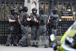 Cảnh sát Anh bắt thêm 3 nghi can khủng bố