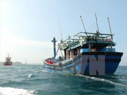 Tàu cá bị tàu nước ngoài đâm chìm, một người tử vong