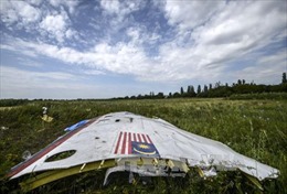 Gia đình Australia đầu tiên trong vụ tai nạn máy bay MH17 được đền bù