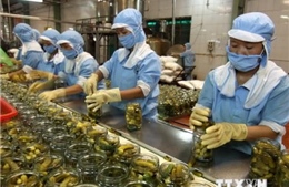  Xuất khẩu rau, quả ước đạt 1 tỷ USD