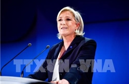 Bầu cử Pháp: Bà Le Pen bị tố đạo văn