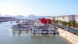 Quảng Ninh sẽ áp dụng giá vé mới cho khách du lịch qua cảng quốc tế Tuần Châu