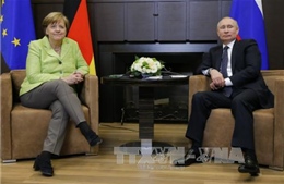 Lãnh đạo Đức, Nga lên tiếng về việc can thiệp bầu cử