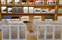 Apple tăng trưởng lợi nhuận, nhưng doanh số iPhone giảm 