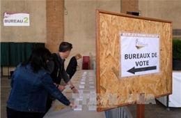 Bầu cử Pháp: Nhiều cử tri định không bỏ phiếu, bỏ phiếu trắng