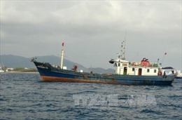Tàu cá chìm do va chạm trên biển, đã cứu được 2/4 thuyền viên