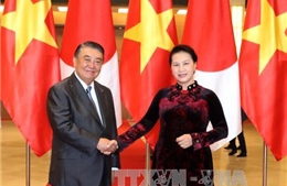 Việt Nam mong muốn hợp tác với Nhật Bản về công nghệ cao