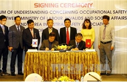 Việt Nam - Hàn Quốc phối hợp trong lĩnh vực an toàn vệ sinh lao động