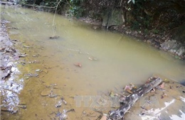 Phú Thọ: Chưa xử lý triệt để vụ xả thải gây ô nhiễm suối Cái