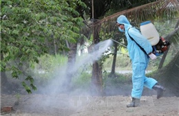 Đắk Nông xuất hiện một ổ dịch cúm gia cầm H5N1 