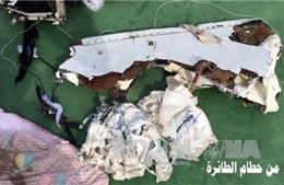 Vụ rơi máy bay MS804: Pháp bác bỏ giả thiết bị khủng bố 